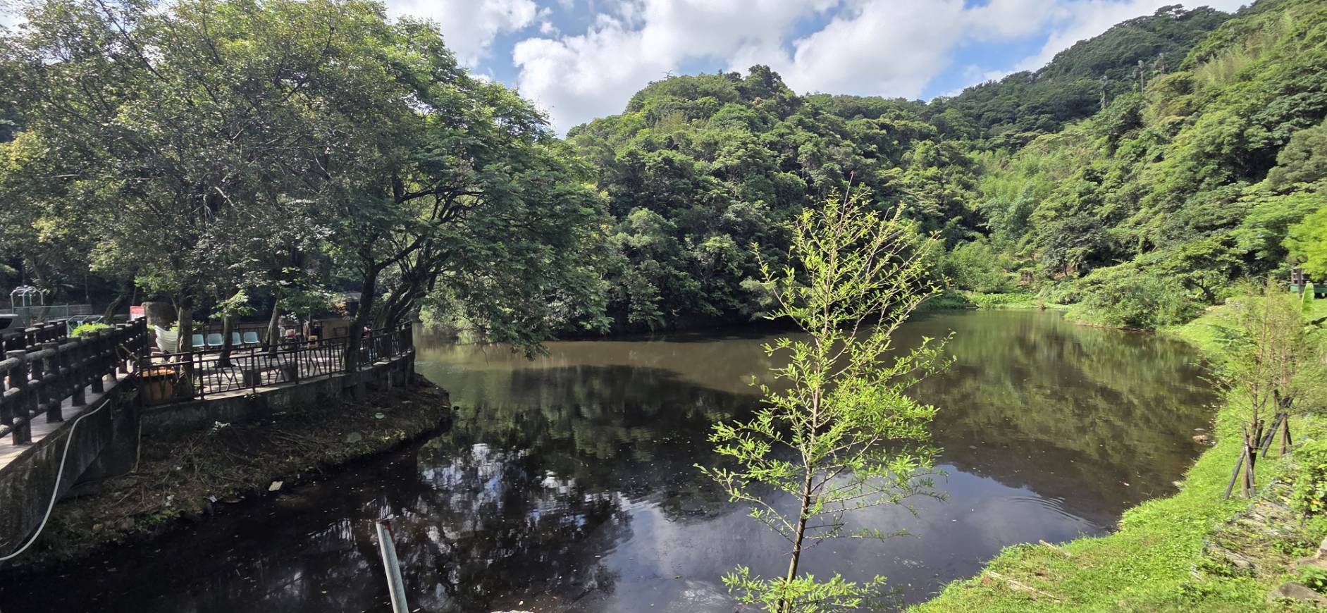 基隆國家新城金龍湖畔巧遇紫紅精靈曉褐蜻紅蜻蜓 5 324392